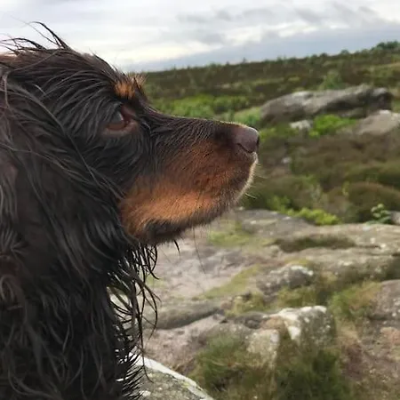 Springhill Studio, Brimham Rocks Yorkshire Dales